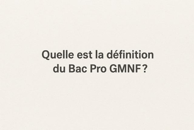 Définition Bac Pro GMNF